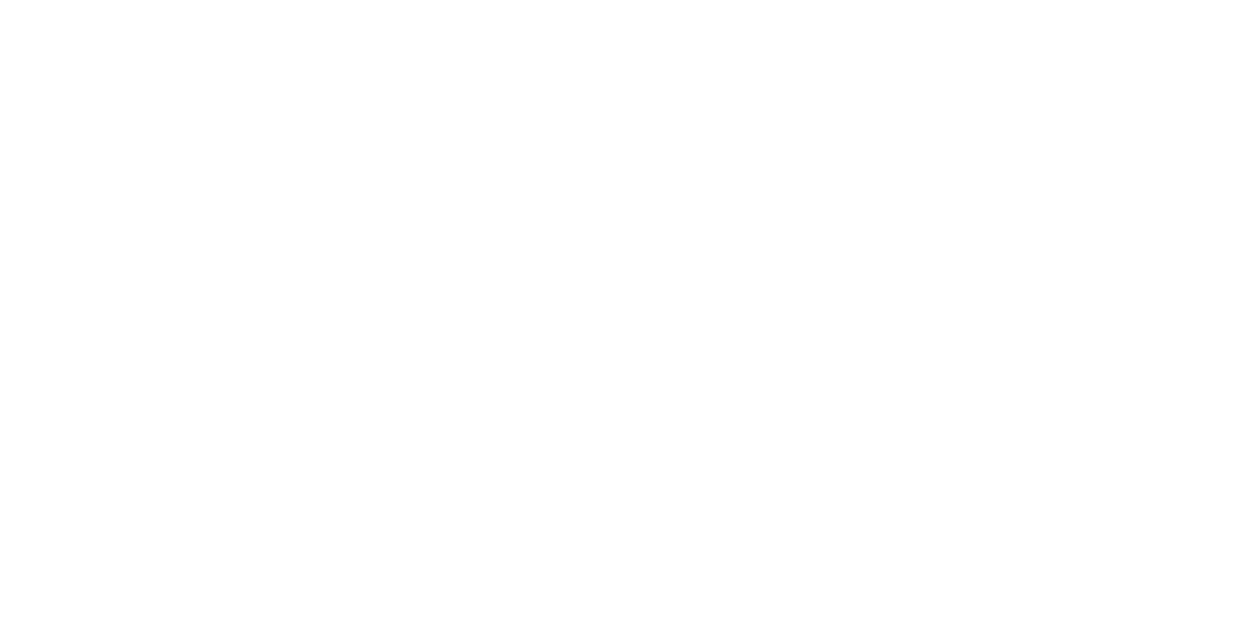 silk skin logo-02